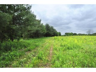 Property photo 38 - LAND AUCTION - 1,050+/- ACRES OFFERED IN 21 TRACTS PLUS 450+/- ACRE HUNTING LEASE IN MUSKINGUM COUNTY, OHIO